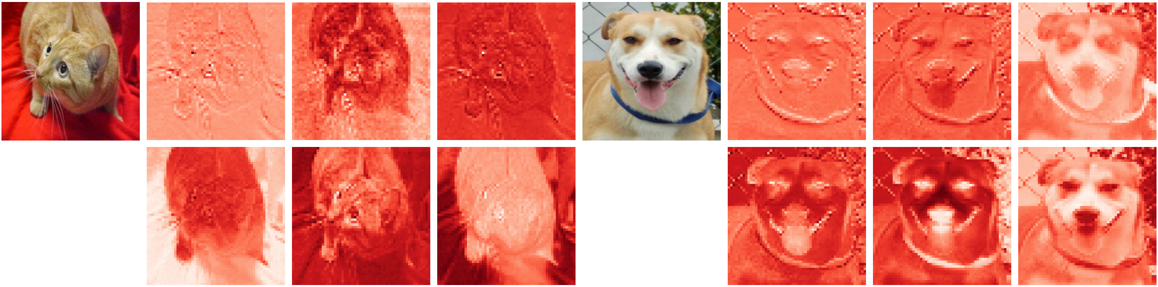 Teaser image showing main research concept